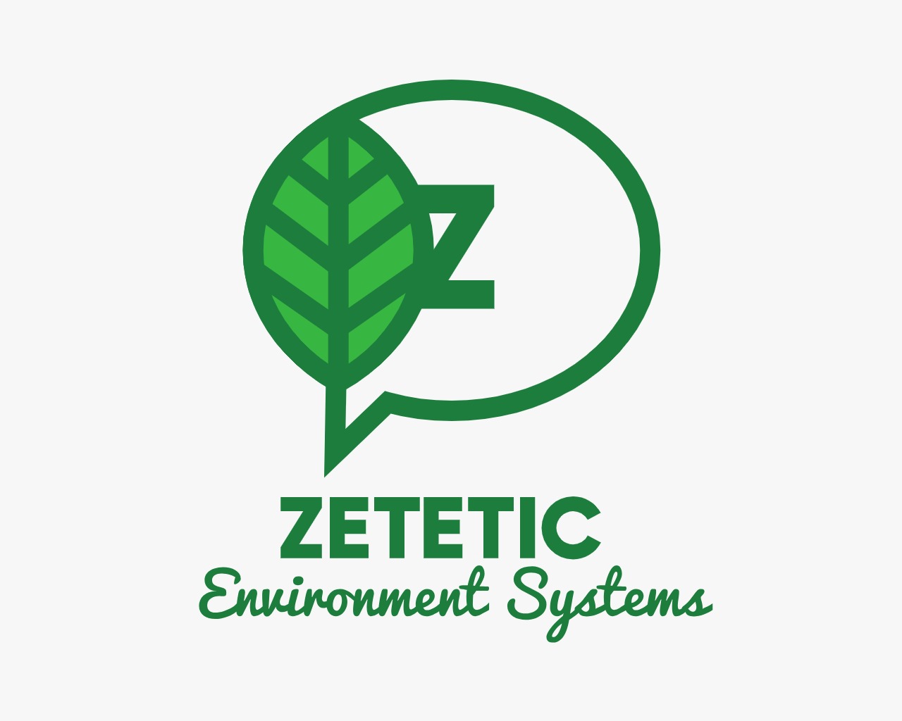 Zetetic Systems